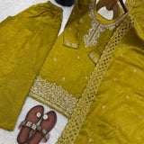 Stunning Jimmy Silk Top Plazzo