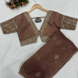 Designer Organza Coding Work Saree