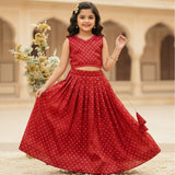 South Indian Kids Silk Lehenga Choli