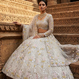 Exceptional Sequence Embroidered Lehenga