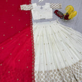 Designer Wedding Embroidered Lehenga