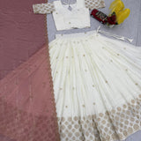 Designer Wedding Embroidered Lehenga