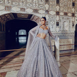 Sparkle Shimmer Embroidered Lehenga