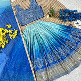Pretty Kids Chinon Silk Lehenga
