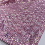 Inayat Bollywood Sequence Saree