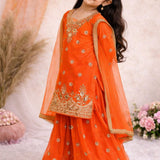 Glamorous Embroidered Kids Suit