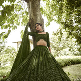 Royal Embroidered Festive Lehenga