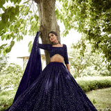 Royal Embroidered Festive Lehenga
