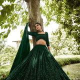 Royal Embroidered Festive Lehenga