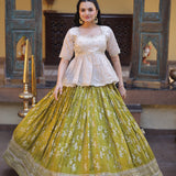 Traditional South Indian Lehenga Choli