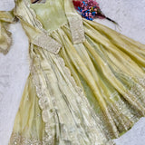 Stunning Shiny Silk Anarkali Gown