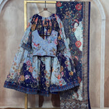 Traditional Printed Taby Silk Lehenga