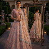 Glamorous Embroidered Net Lehenga
