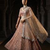 Glamorous Embroidered Net Lehenga
