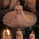 Glamorous Embroidered Net Lehenga