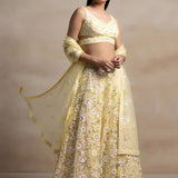 Pastel Yellow Floral Sequins Embroidered Lehenga Choli