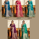 New Catalogue Launching Saree