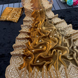 Presenting Designer seqwance embroidery saree