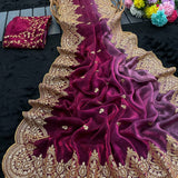 Presenting Designer seqwance embroidery saree