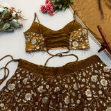 Elegant Embroidered Sequence Lehenga
