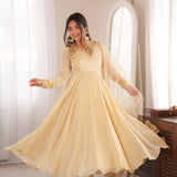 White Cruncy Embroidered GOWN