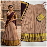 Crafted South Style Lehenga Choli