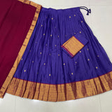 Crafted South Style Lehenga Choli