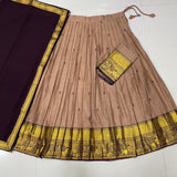 Crafted South Style Lehenga Choli