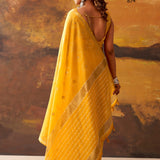 Designer Kira Cotton Saree