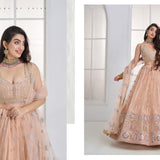 Mrudangi Net Emboridered Lehenga