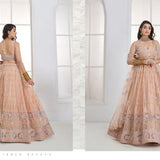 Mrudangi Net Emboridered Lehenga