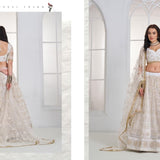 Mrudangi Net Emboridered Lehenga