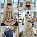 Mrudangi Net Emboridered Lehenga