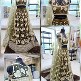 Mrudangi Net Emboridered Lehenga