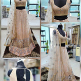 Mrudangi Net Emboridered Lehenga