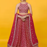 Sparkle Sequence Embroidered Lehenga