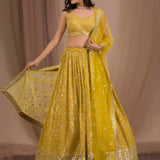 Sparkle Sequence Embroidered Lehenga