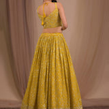 Sparkle Sequence Embroidered Lehenga