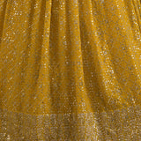 Sparkle Sequence Embroidered Lehenga