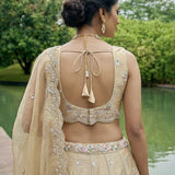 Wardrobe Tissue Mirror Work Bridal Lehenga