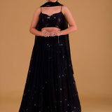 Black Nori Sequence Lehenga Choli