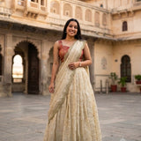 Traditional Viscose Tissue Silk Lehenga