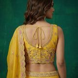 Royal Tissue Silk Embroidered Lehenga