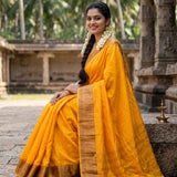 Ambrapali Linen Silk Saree