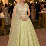 Hirni Stunning Viscose Lehenga