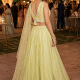 Hirni Stunning Viscose Lehenga