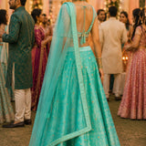 Hirni Stunning Viscose Lehenga