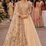 Shehnaz Premium Tissue Lehenga