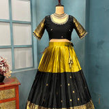 Elevate Kanjivaram Silk Lehenga