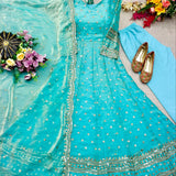 Pretty Sea Green Fandy Silk Gown